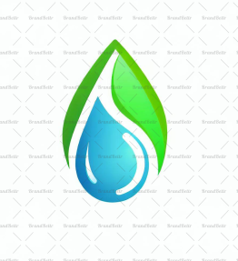 Wassertropfen und Blatt